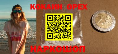 крисы Кулебаки