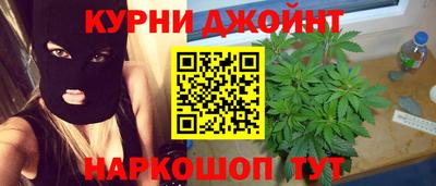 крисы Кулебаки