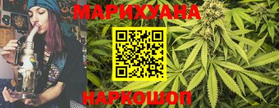 крисы Кулебаки