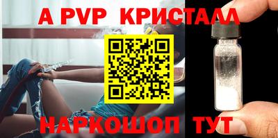 крисы Кулебаки