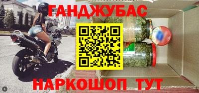 крисы Кулебаки