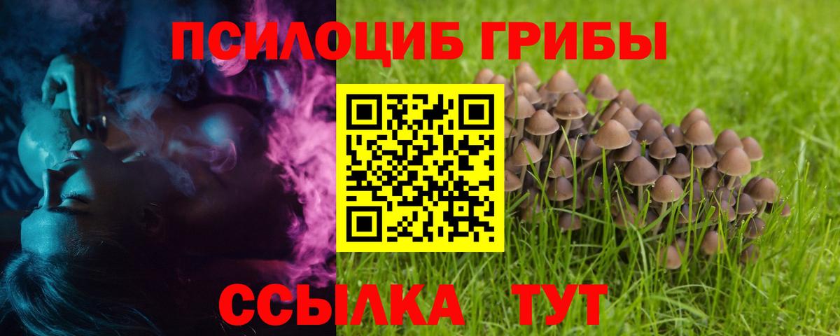 Славгород  Галлюциногенные грибы MAGIC MUSHROOMS  закладки  Вход с VPN  Псилоцибиновые грибы мухоморы 